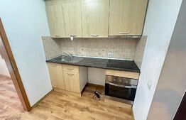 Apartament 1 camera, 25mp, bloc nou, centrala proprie, zona Aradului