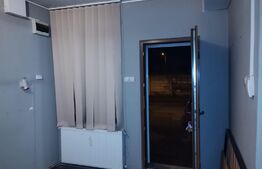 Spatiu comercial, 28 mp, Lipovei