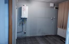 Spatiu comercial, 28 mp, Lipovei