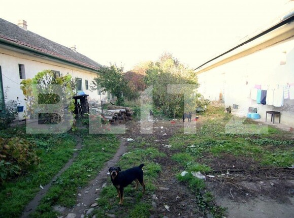 Casa de vânzare 7 camere Elisabetin - 135428CV | BLITZ Timișoara | Poza3