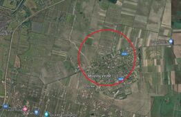 Teren intravilan - 655 mp - FS 38ml - Mosnita Veche