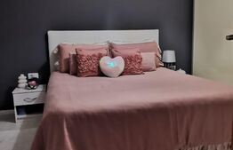 Casa de vanzare, 8 camere, 264 mp, Mehala