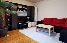 Casa de vanzare, 8 camere, 264 mp, Mehala