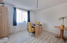 Casa individuala 4 camere, parter, 116 mp utili +507 mp teren,Sag