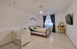 Casa individuala 4 camere, parter, 116 mp utili +507 mp teren,Sag