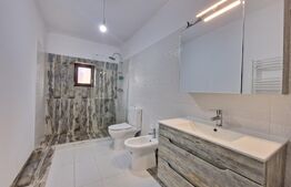 Casa individuala 4 camere, parter, 116 mp utili +507 mp teren,Sag