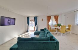 Casa individuala 4 camere, parter, 116 mp utili +507 mp teren,Sag