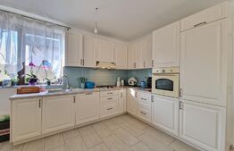 Casa individuala 4 camere, parter, 116 mp utili +507 mp teren,Sag