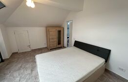 Apartament superb, pe 2 niveluri, 2 camere, 64 mp, zona Buziasului
