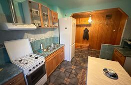 Apartament 2 camere, 55 mp, etaj intermediar, zona UMT