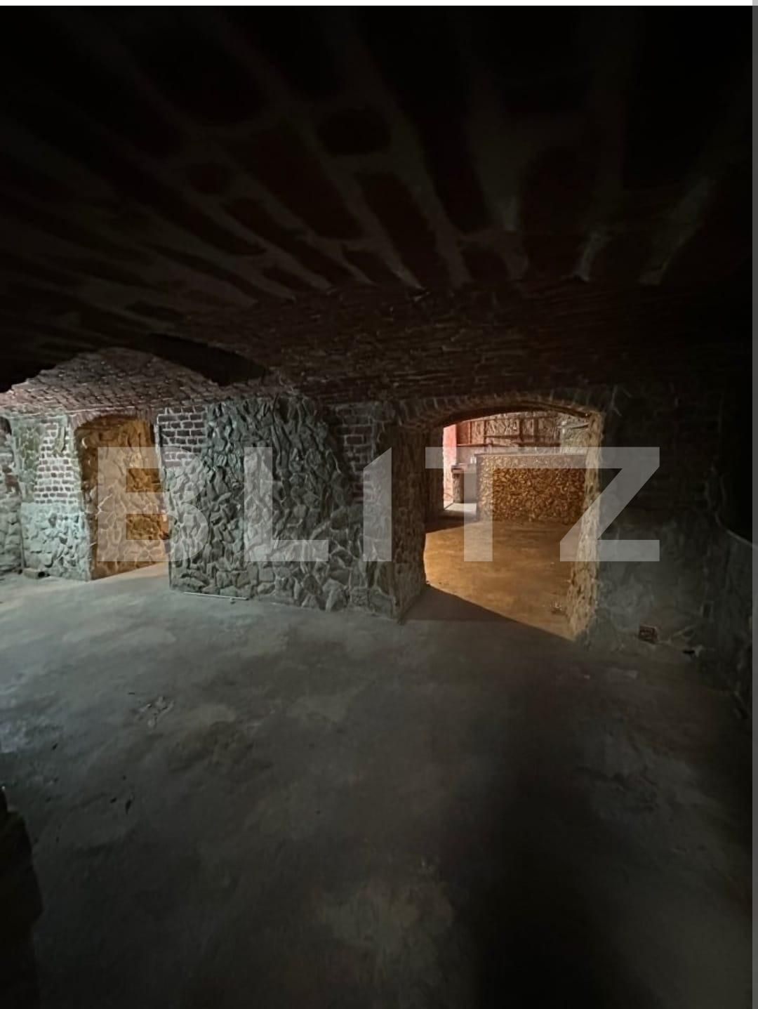 Spațiu comercial de vânzare Central - 136249SVC | BLITZ Timișoara | Poza4