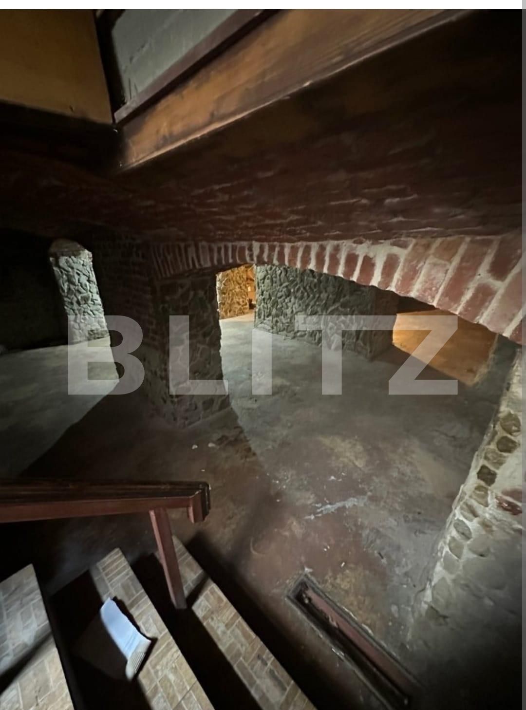 Spațiu comercial de vânzare Central - 136249SVC | BLITZ Timișoara | Poza3