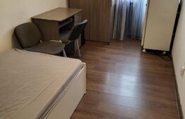 Garsoniera de inchiriat, 16 mp, Complexul studentesc