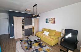 Oportunitate! Apartament 1 camera, 40 mp, Zona Aradului