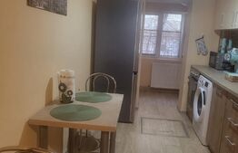 Apartament 2 camere,60 mp, zona Lipovei