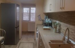 Apartament 2 camere,60 mp, zona Lipovei