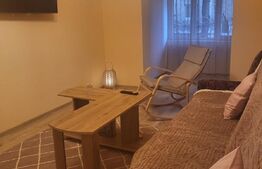 Apartament 2 camere,60 mp, zona Lipovei
