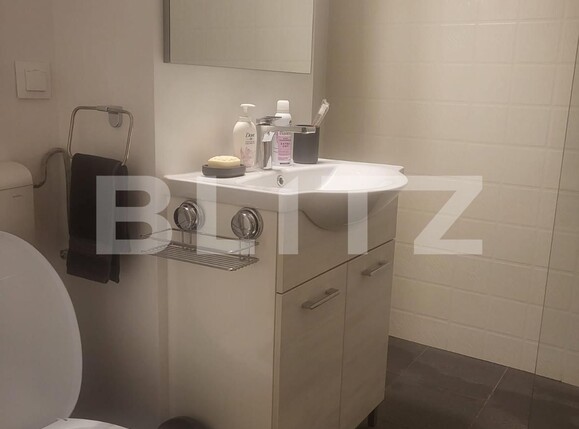 Apartament de închiriat 2 camere Lipovei - 136264AI | BLITZ Timișoara | Poza7