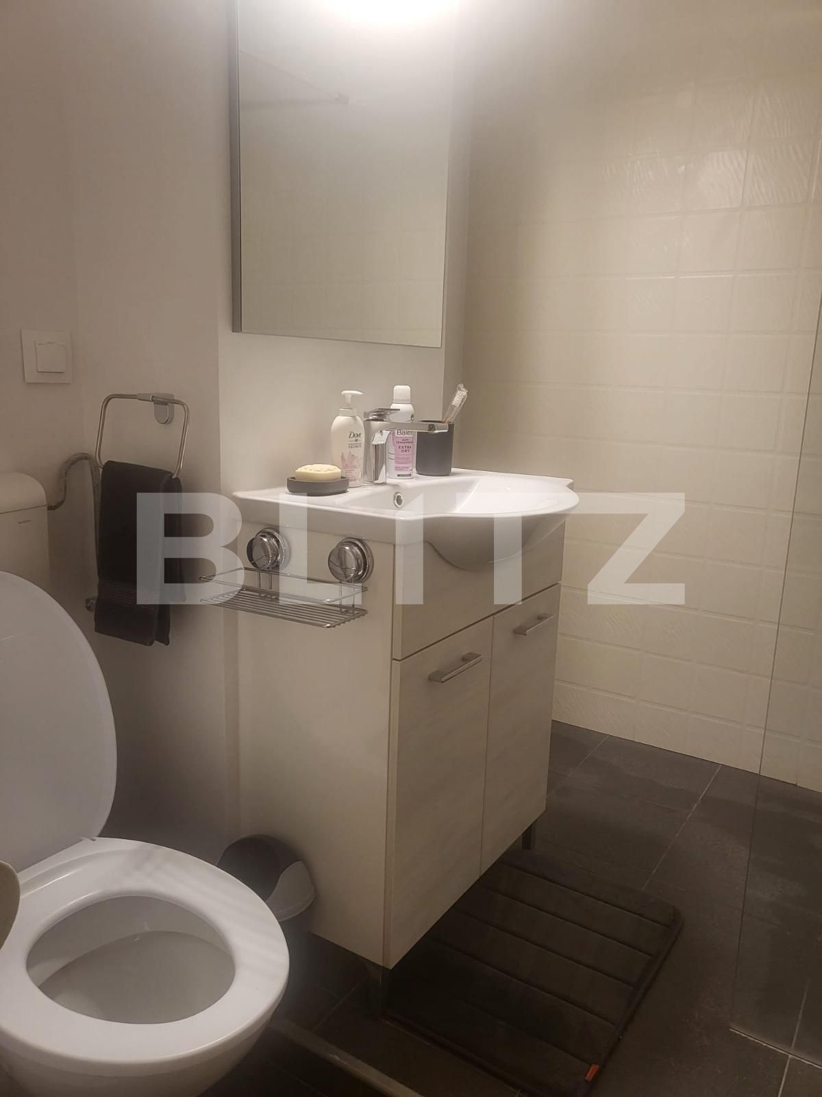 Apartament de închiriat 2 camere Lipovei - 136264AI | BLITZ Timișoara | Poza7