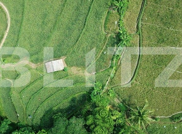 Teren de vânzare Pischia - 136267TV | BLITZ Timișoara | Poza1