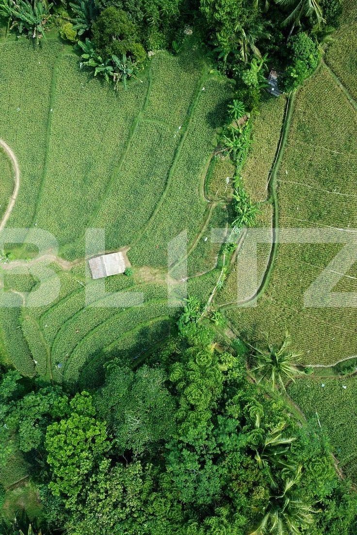 Teren de vânzare Pischia - 136267TV | BLITZ Timișoara | Poza1