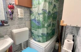 Apartament decomandat la casa 34 mp,cartier Badea Cartan