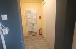 Spatiu ideal pentru investitie , 52 mp utili, Zona AEM 