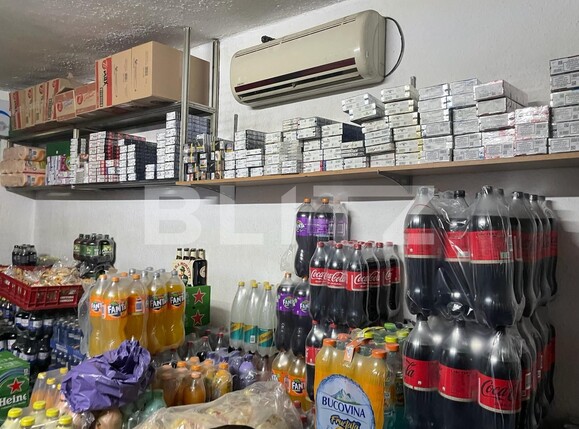 Spațiu comercial de vânzare Lugojului - 136672SVC | BLITZ Timișoara | Poza3