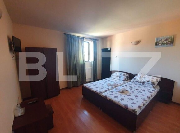 Spațiu comercial de vânzare Orţişoara - 136708SVC | BLITZ Timișoara | Poza6