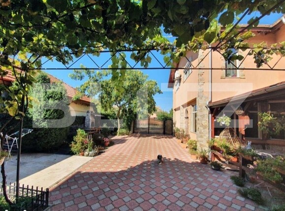 Spațiu comercial de vânzare Orţişoara - 136708SVC | BLITZ Timișoara | Poza2