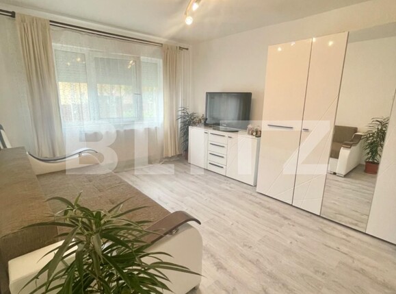Garsonieră de vânzare Sagului - 136715AV | BLITZ Timișoara | Poza3