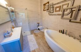 Casa individuala si cocheta de 280mp utili 734mp teren, Iosefin-Dambovita