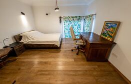 Casa individuala si cocheta de 280mp utili 734mp teren, Iosefin-Dambovita