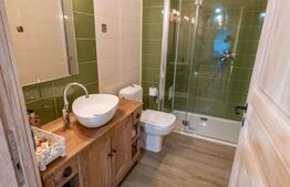 Casa individuala si cocheta de 280mp utili 734mp teren, Iosefin-Dambovita