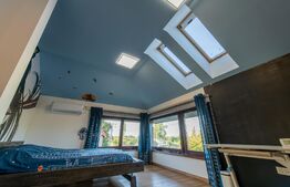 Casa individuala si cocheta de 280mp utili 734mp teren, Iosefin-Dambovita