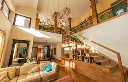 Casa individuala si cocheta de 280mp utili 734mp teren, Iosefin-Dambovita