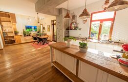 Casa individuala si cocheta de 280mp utili 734mp teren, Iosefin-Dambovita