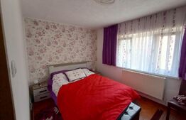 Casa individuala si cocheta de 280mp utili 734mp teren, Iosefin-Dambovita