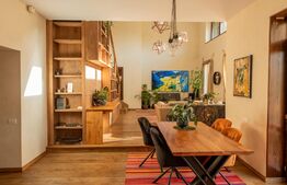 Casa individuala si cocheta de 280mp utili 734mp teren, Iosefin-Dambovita