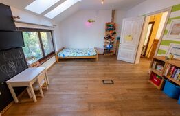 Casa individuala si cocheta de 280mp utili 734mp teren, Iosefin-Dambovita