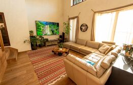 Casa individuala si cocheta de 280mp utili 734mp teren, Iosefin-Dambovita