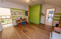 Casa individuala si cocheta de 280mp utili 734mp teren, Iosefin-Dambovita