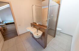 Casa individuala si cocheta de 280mp utili 734mp teren, Iosefin-Dambovita