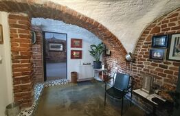 Spatiu comercial de inchiriat,28 mp utili, Vintage, zona Traian