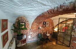 Spatiu comercial de inchiriat,28 mp utili, Vintage, zona Traian