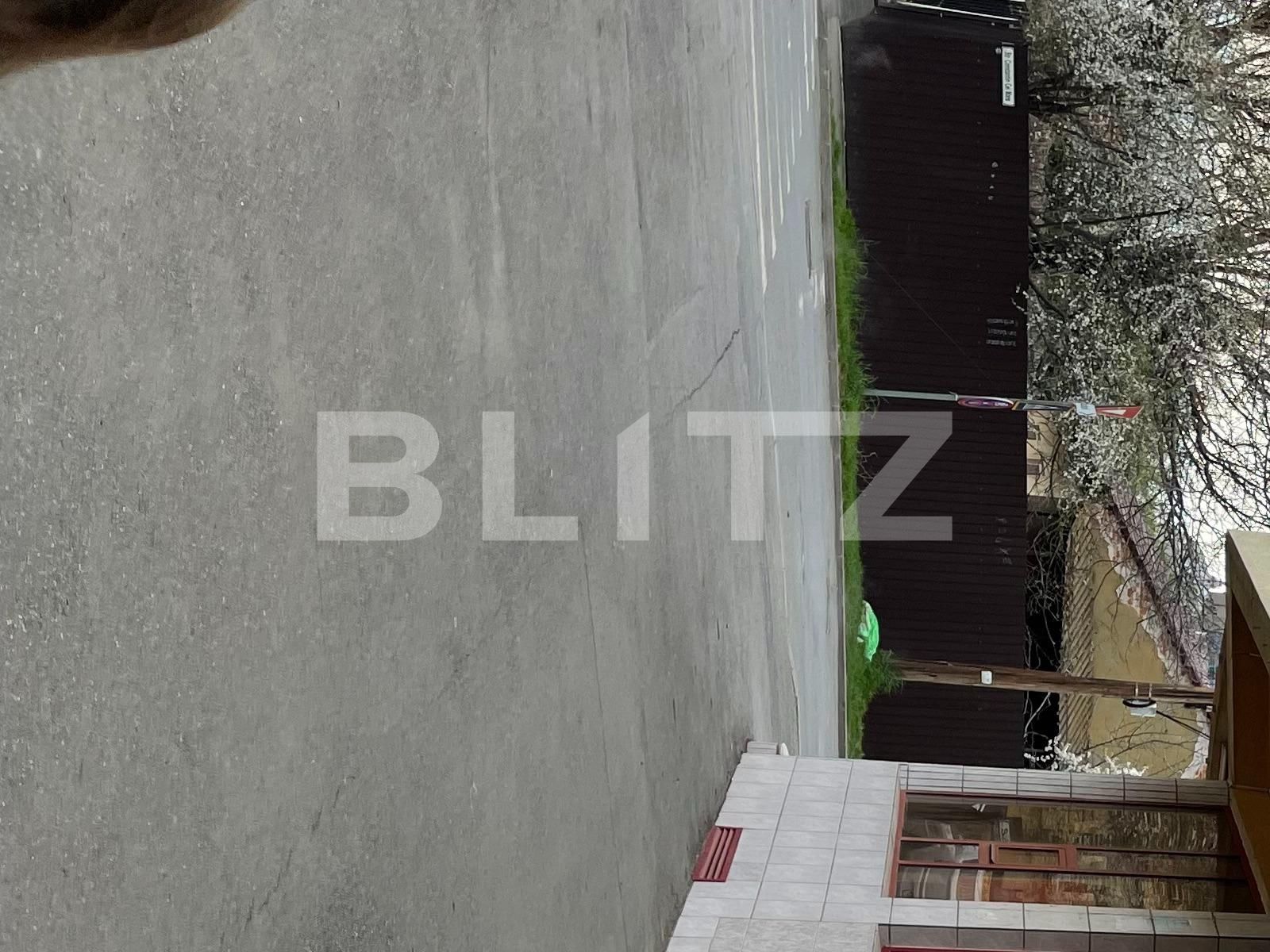 Spațiu comercial de închiriat Lipovei - 136870SIC | BLITZ Timișoara | Poza4