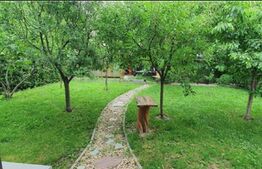 Casa 7 camere, 300 mp utili + 860 mp teren, cartier Elisabetin