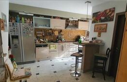 Casa 7 camere, 300 mp utili + 860 mp teren, cartier Elisabetin