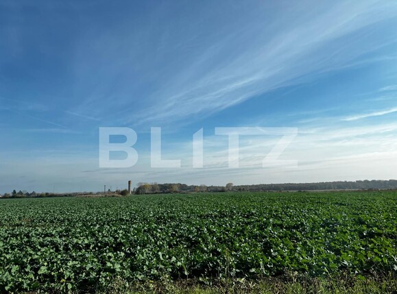 Teren de vânzare Dumbravita - 137016TV | BLITZ Timișoara | Poza1