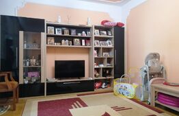 Exclusivitate - Casa individuala, 11 camere, Su = 385mp, St = 1423mp, Ciarda Rosie, Comision 0%